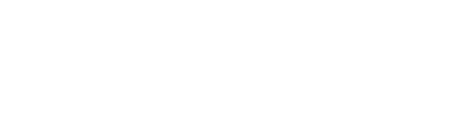 Rock The Runway logo